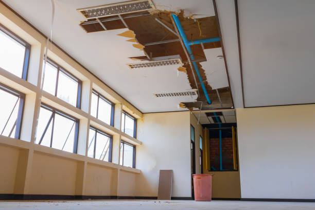 Best Flooded house restoration  in Westchester, FL