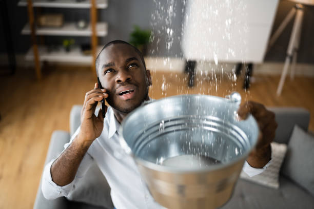 Best Water damage restoration near me  in Westchester, FL