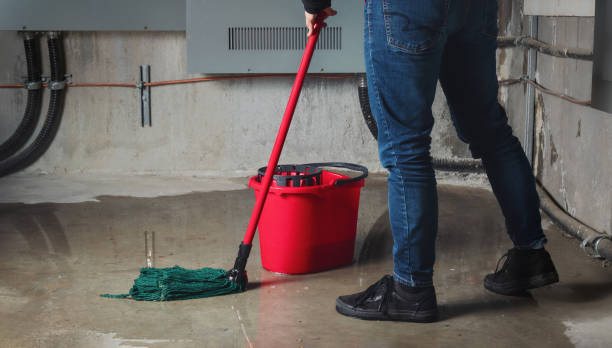 Best 24-hour water damage restoration  in Westchester, FL