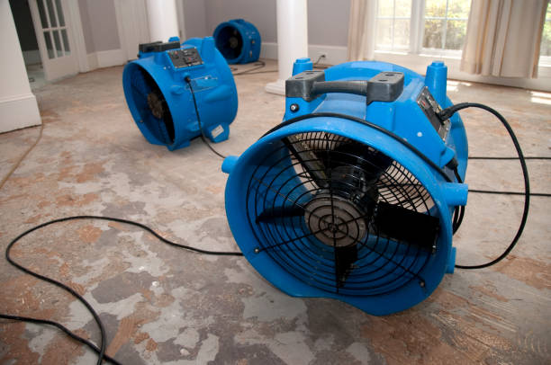 Best Emergency water damage restoration  in Westchester, FL