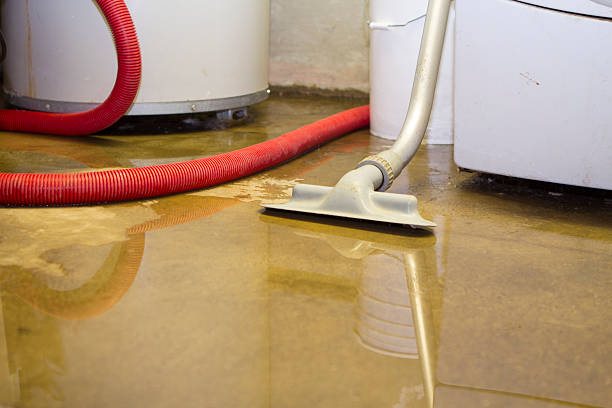Best Commercial water damage restoration  in Westchester, FL