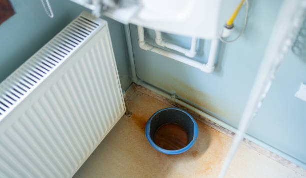 Best Ceiling water damage repair  in Westchester, FL