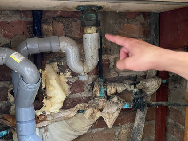 Best Local water damage restoration  in Westchester, FL
