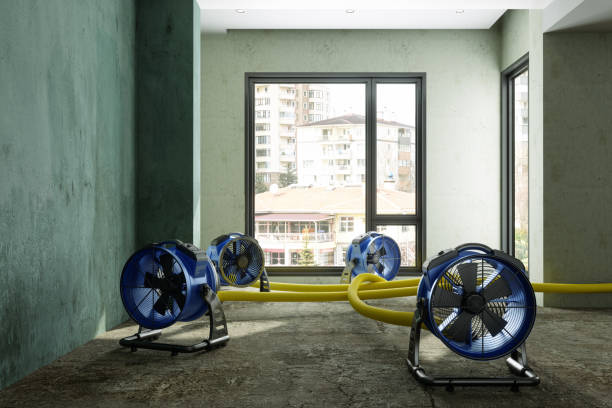 Best Water damage cleanup near me  in Westchester, FL